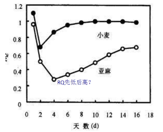 萌发过程中RQ的变化