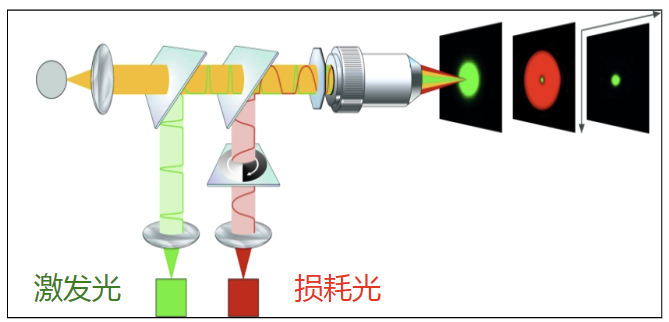 STED显微镜原理图