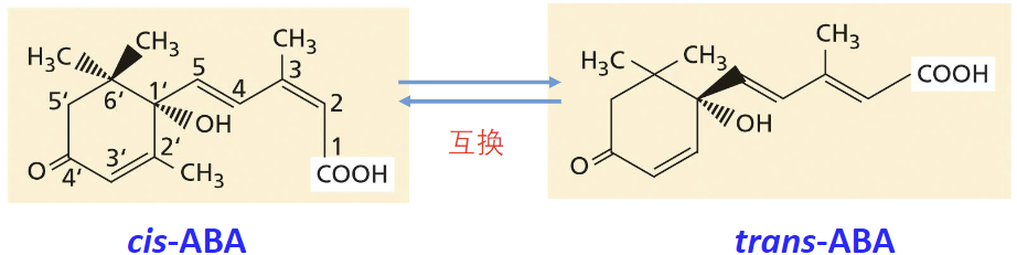 互为旋光异构的ABA