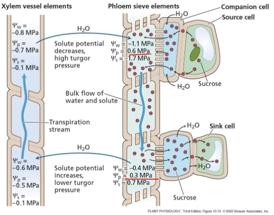 压力流动学说示意图