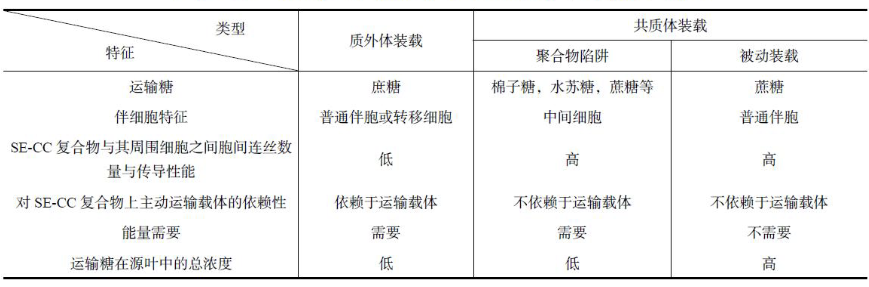质外体装载和共质体装载的总结表